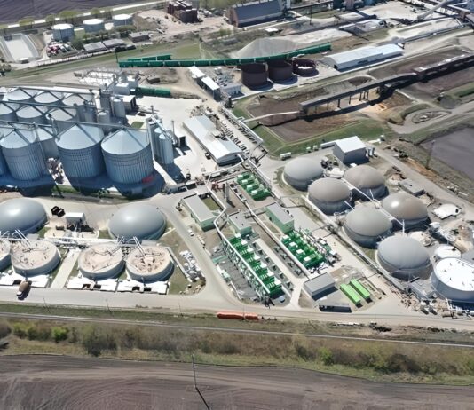 Debate intelectual sobre el biogás (I) Fernando Suárez Mejido