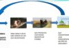 BIOGAS, CAPITALISMO Y MOVIMIENTO PERPETUO. Por Toni Jorge, Ecologistas en Acción de la Manchuela (Cuenca y Albacete)