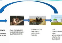 BIOGAS, CAPITALISMO Y MOVIMIENTO PERPETUO. Por Toni Jorge, Ecologistas en Acción de la Manchuela (Cuenca y Albacete)
