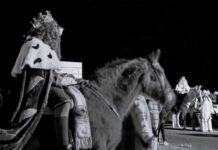 Presunto caso de maltrato animal e incumplimiento de la Ley por parte del Ayuntamiento de Cieza