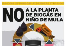 Concentración contra la macroplanta industrial contaminante de biogás en Mula.