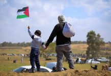 Última hora: Palestina, Maui, Rafa. 15 mil personas están siendo cercadas y bombardeadas.