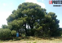 LA REPÚBLICA DE CAGITÁN