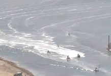 Las organizaciones ecologistas exigen un control inmediato de la navegación en el Mar Menor ante la inacción de las administraciones