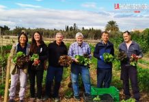 Nueva jornada de voluntariado del proyecto Agrosimbiosis Lab este martes 13 de mayo en Casa Matrix