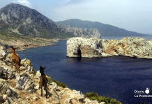 Perejil, la pieza del tablero: ¿una crisis fabricada para arrastrar a España a la guerra de Irak?