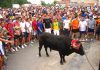 La plataforma antitaurina de la Comunidad Valenciana califica como «anacrónico» el torico de la cuerda de Chiva