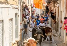 Blanca entre tradición y crueldad: 50.000€ de dinero público para encierros que hieren a los más jóvenes… y a los toros