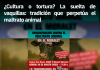 ¿Cultura o tortura? La suelta de vaquillas: tradición que perpetúa el maltrato animal