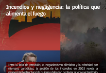 Incendios y negligencia: la política que alimenta el fuego