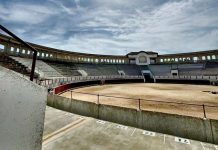 Manifestación en Casas Ibáñez contra la tauromaquia: “No es cultura, es tortura”