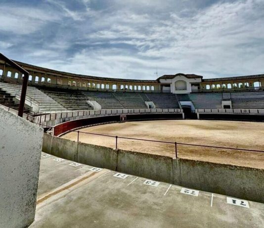 Manifestación en Casas Ibáñez contra la tauromaquia: “No es cultura, es tortura”