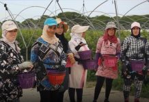 Fallece Nadia, temporera marroquí vecina de Jumilla, atropellada por una carretilla en una finca agrícola