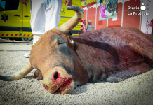 Murcia se moviliza contra la tauromaquia en la Feria de Septiembre: concentración el domingo 14 frente a la Plaza de Toros