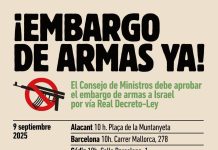 Las movilizaciones seguirán en pie tras el embargo de armas a Israel por Real Decreto Ley