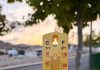 Termometrada 2025 confirma el papel clave de árboles y suelos permeables frente al calor extremo