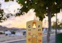 Termometrada 2025 confirma el papel clave de árboles y suelos permeables frente al calor extremo