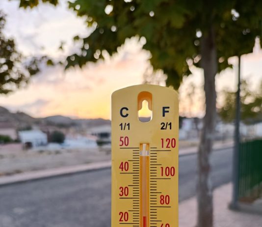 Termometrada 2025 confirma el papel clave de árboles y suelos permeables frente al calor extremo