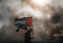 Hamas acepta la propuesta de alto el fuego de Trump con condiciones: exige el fin de la guerra, la retirada total de Gaza y el fin del desplazamiento del pueblo palestino