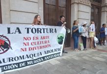Decenas de activistas se concentran frente al Ayuntamiento de La Unión contra la corrida de toros financiada por el alcalde Joaquín Zapata (PP)