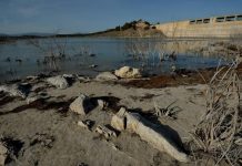 La crisis climática y el negocio de la indiferencia