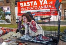Denia Animal Save convoca en Alicante una protesta contra la industria peletera este sábado 8 de noviembre