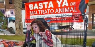 Denia Animal Save convoca en Alicante una protesta contra la industria peletera este sábado 8 de noviembre