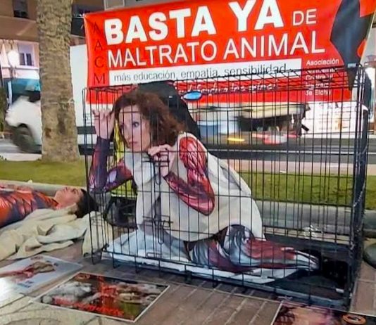 Denia Animal Save convoca en Alicante una protesta contra la industria peletera este sábado 8 de noviembre