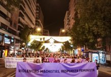 ¿Por qué el Movimiento Feminista de Murcia no marchará este 25N? Movilización del 25N del año 2024 en Murcia | Dominic D. Skerrett