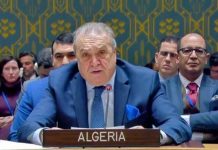 El giro geopolítico de Argelia: de aliado histórico de Palestina a defensor acérrimo de su interés nacional