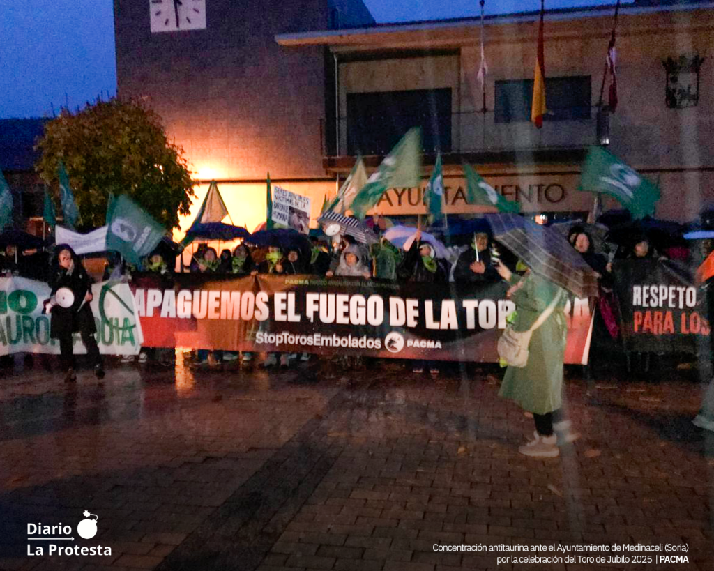 Concentración antitaurina ante el Ayuntamiento de Medinaceli (Soria) por la celebración del Toro de Jubilo 2025 | PACMA