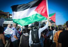 Paseo mixto en Cartagena para denunciar la llegada del buque Chemical Máster con carga procedente de los territorios ocupados por Israel Fotografía de archivo de una manifestación en el puerto de Cartagena en solidaridad con el pueblo palestino | Foto: Dominic D. Skerrett ®