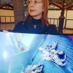 Activistas forman una línea silenciosa en València para denunciar la explotación de los animales acuáticos Activista del Colectivo Animal Save en la protesta de este sábado en Valencia | Animal Save Valencia