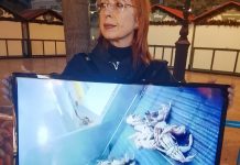 Activistas forman una línea silenciosa en València para denunciar la explotación de los animales acuáticos Activista del Colectivo Animal Save en la protesta de este sábado en Valencia | Animal Save Valencia