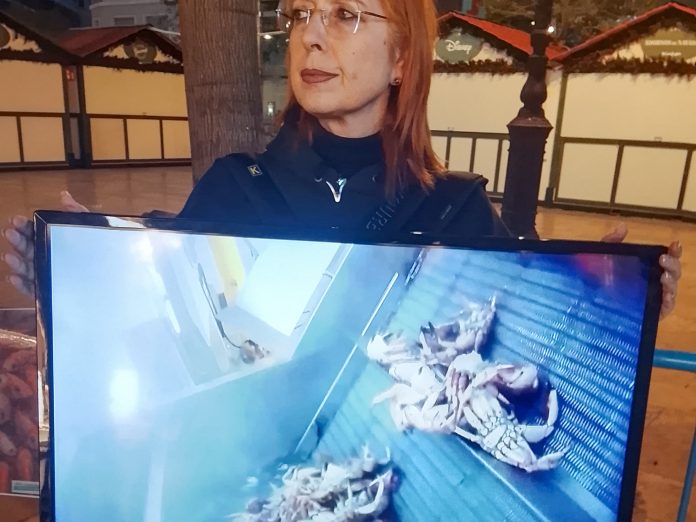 Activista del Colectivo Animal Save en la protesta de este sábado en Valencia | Animal Save Valencia