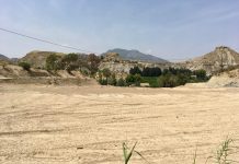 Denuncian la destrucción de la huerta milenaria de Blanca por la expansión de proyectos turísticos Fotografía de roturación de suelos ilegales en Blanca | Foto: La Carraíla