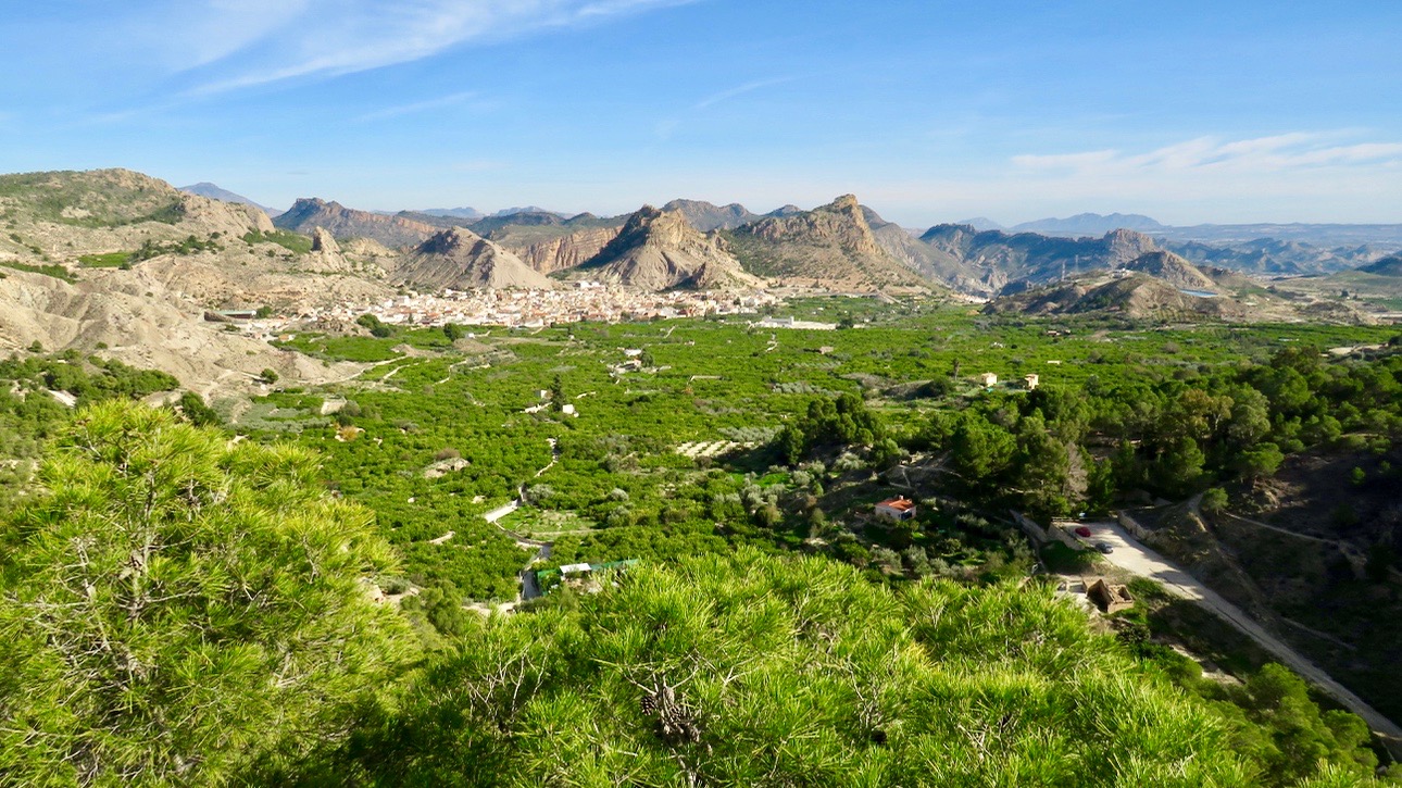 Instan a los ayuntamientos de Cieza, Abarán, Blanca, Ricote, Ojós, Ulea, Villanueva del Río Segura y Archena a que no realicen ni permitan actuaciones que supongan una transformación sensible en los distintos espacios agrícolas protegidos en los distintos planes generales municipales de ordenación como suelo no urbanizable inadecuado (NUI) y suelo no urbanizable de protección de ribera (PPR) | Foto: La Carraíla