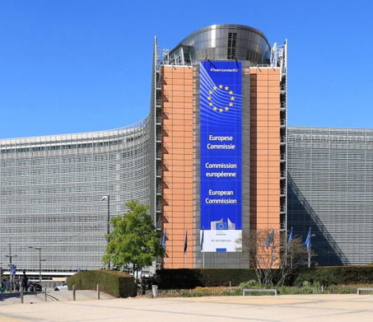 Grupos ecologistas denuncian la escasa ambición de la Ley de Restauración de la Naturaleza en los estados miembros de la UE Edificio Berlaymont, sede de la Comisión Europea, en Bruselas, Bélgica | Wikipedia