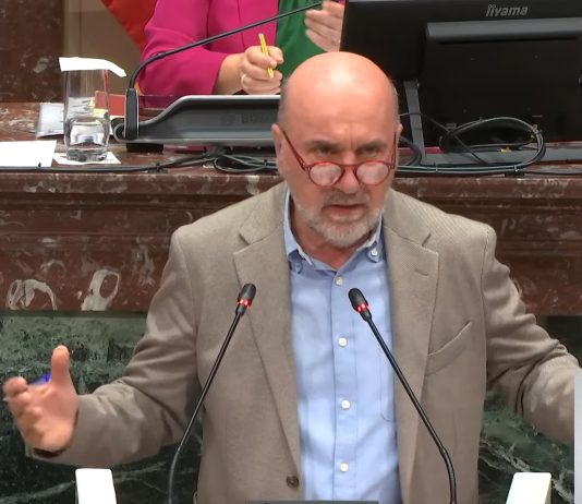 IU-Verdes denuncia la improvisación y los privilegios que el Gobierno regional de López Miras le concede a las grandes eléctricas El diputado de IU, Jose Luis Álvarez-Castellanos, durante su intervención esta mañana en la Asamblea Regional | Captura de Pantalla de la emisión en directo