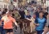 Sanción al Ayuntamiento de Castellar tras denunciar el Partido Animalista la celebración de una bueyada infantil ilegal bueyada infantil Castellar | PACMA.