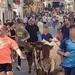 Sanción al Ayuntamiento de Castellar tras denunciar el Partido Animalista la celebración de una bueyada infantil ilegal bueyada infantil Castellar | PACMA.