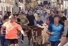 Sanción al Ayuntamiento de Castellar tras denunciar el Partido Animalista la celebración de una bueyada infantil ilegal bueyada infantil Castellar | PACMA.