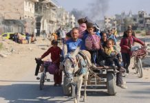 «La alianza Sionista – Germana, del animalismo a la animalidad: La compasión que salva a los asnos y el sadismo que mata a los palestinos»