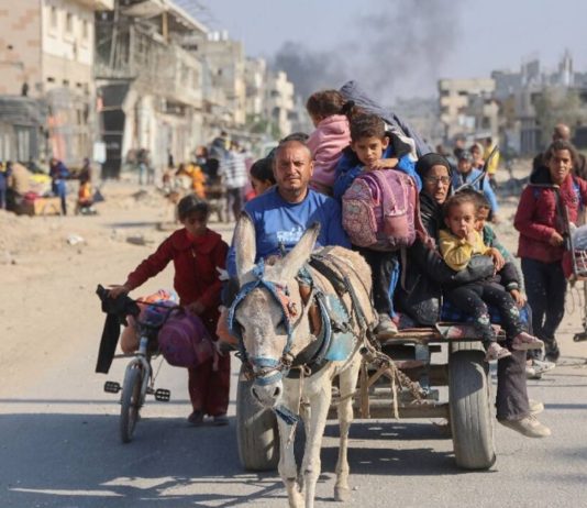 «La alianza Sionista – Germana, del animalismo a la animalidad: La compasión que salva a los asnos y el sadismo que mata a los palestinos»