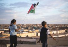 Vacaciones en Paz 2026: Acoge a un niño saharaui y comparte un verano que transforme tu vida y cambie la suya