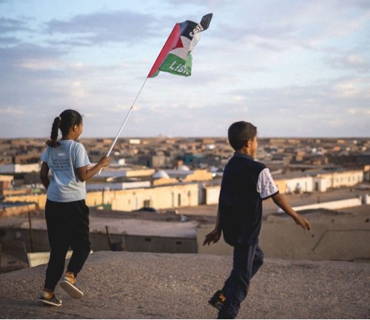 Vacaciones en Paz 2026: Acoge a un niño saharaui y comparte un verano que transforme tu vida y cambie la suya