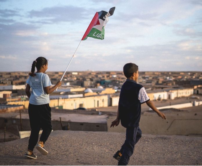 b0fbf941-fe2d-4d55-8d5a-fcbeee5d0969