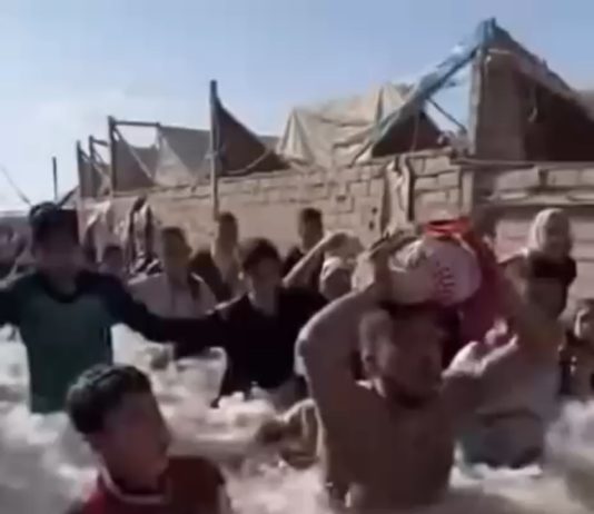 Gaza bajo eterna Amenaza: entre el Apocalipsis del Genocidio y la Crisis del Diluvio