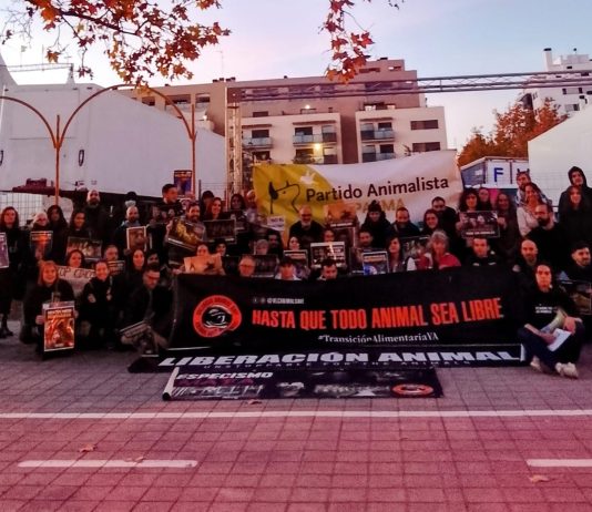 Protestan a las puertas del “Circ de Nadal” de Valencia para pedir el cese del uso de animales