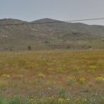 Ecologistas en Acción pide una investigación en la planta fotovoltaica “La Isla” en Llano del Beal Aspecto actual de la planta desde la carretera regional RM-F42 | Ecologistas en Acción